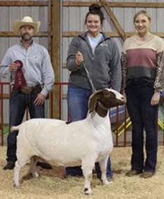 Regel Boer Goats | SHOW WINNERS